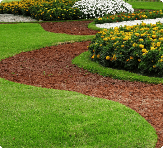 A garden with green grass and yellow flowers.
